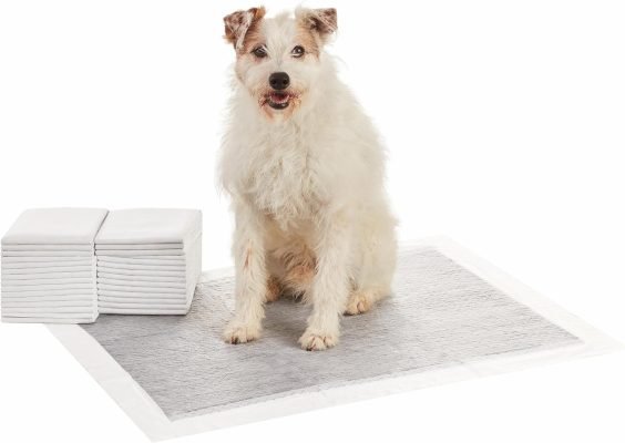 Dog and Puppy Training Pads