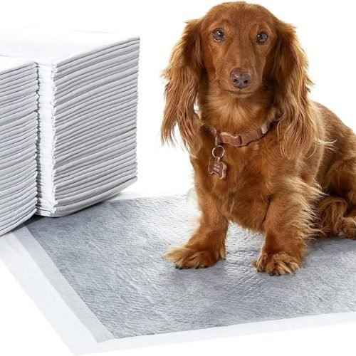 Dog and Puppy Training Pads