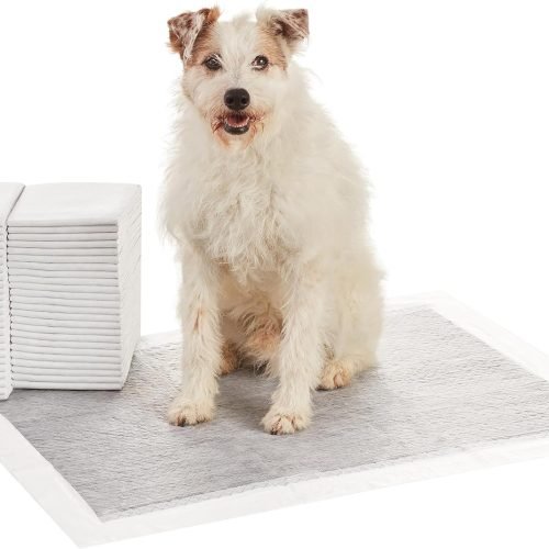 Dog and Puppy Training Pads