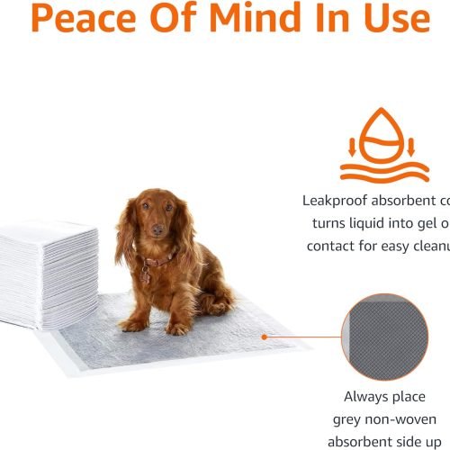 Dog and Puppy Training Pads