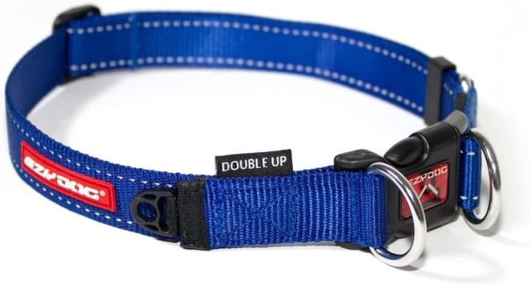 EzyDog Double Up Reflective Dog Collar
