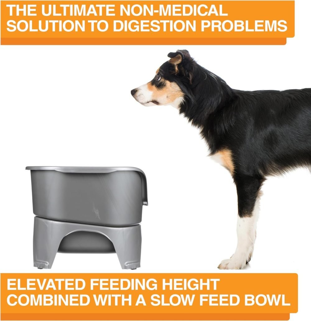 Neater Feeder Express Elevated Dog Bowls
