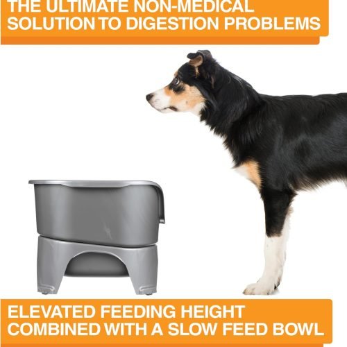 Neater Feeder Express Elevated Dog Bowls