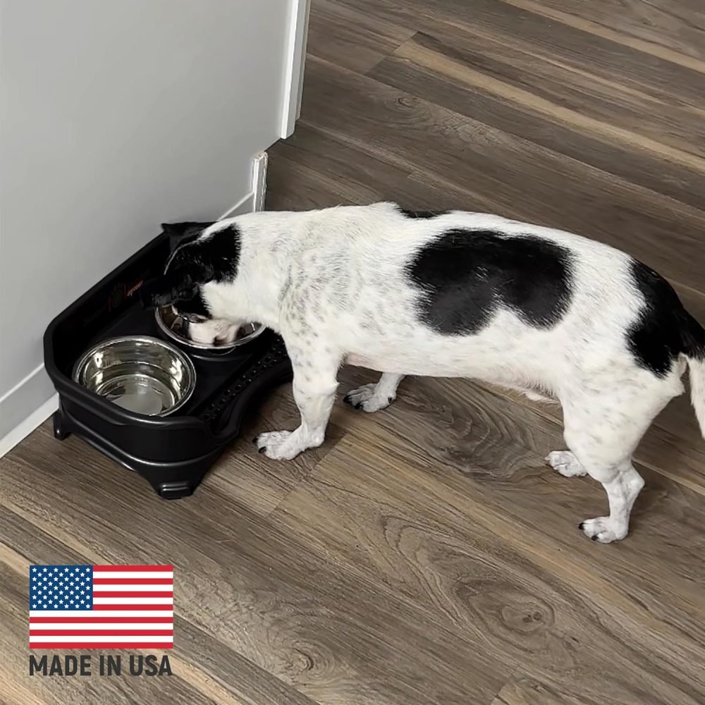 Neater Feeder Express Elevated Dog Bowls