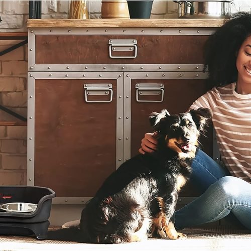 Neater Feeder Express Elevated Dog Bowls