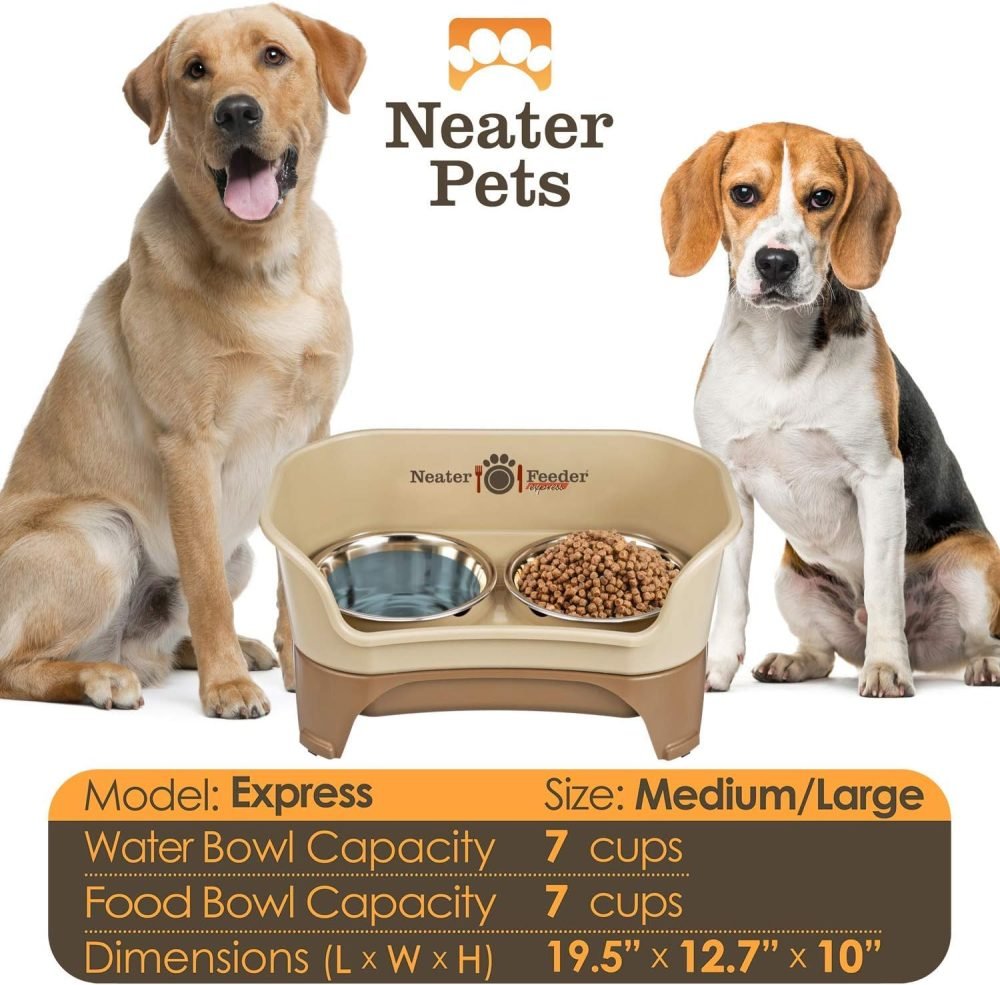 Neater Feeder Express Elevated Dog Bowls