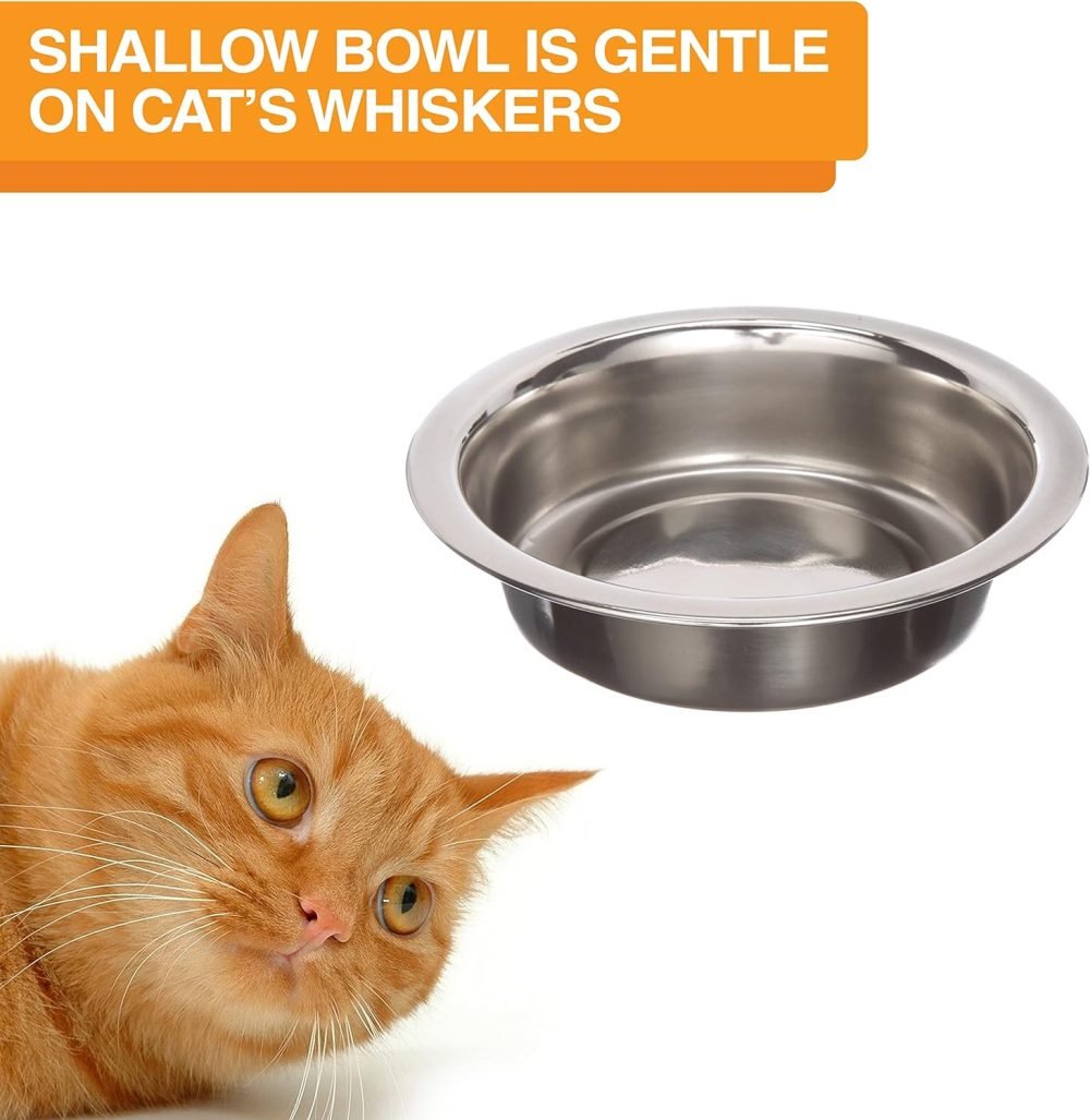 Neater Feeder Express Elevated Dog Bowls