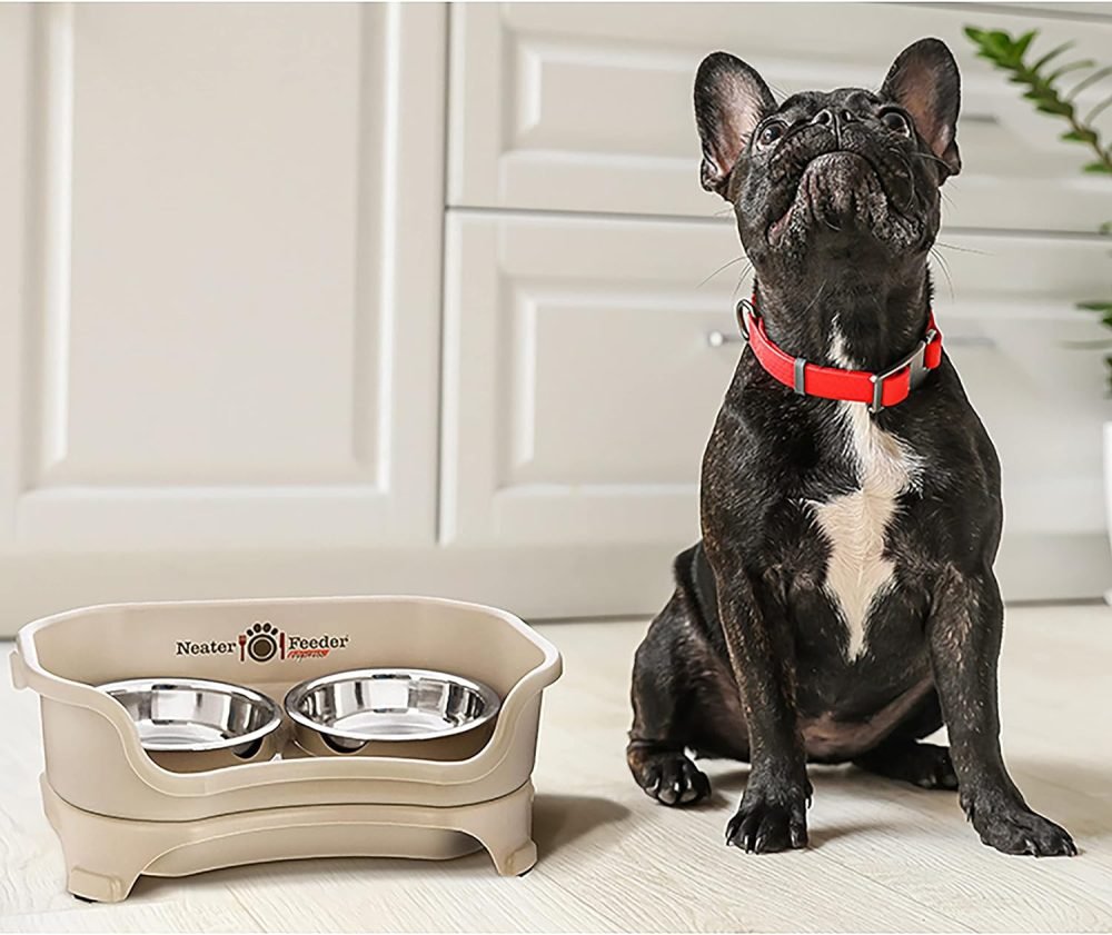 Neater Feeder Express Elevated Dog Bowls