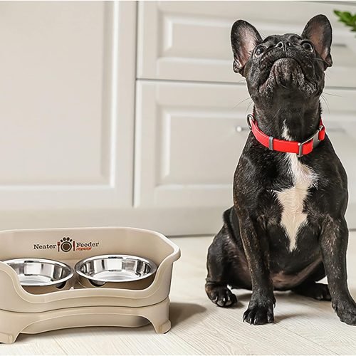 Neater Feeder Express Elevated Dog Bowls