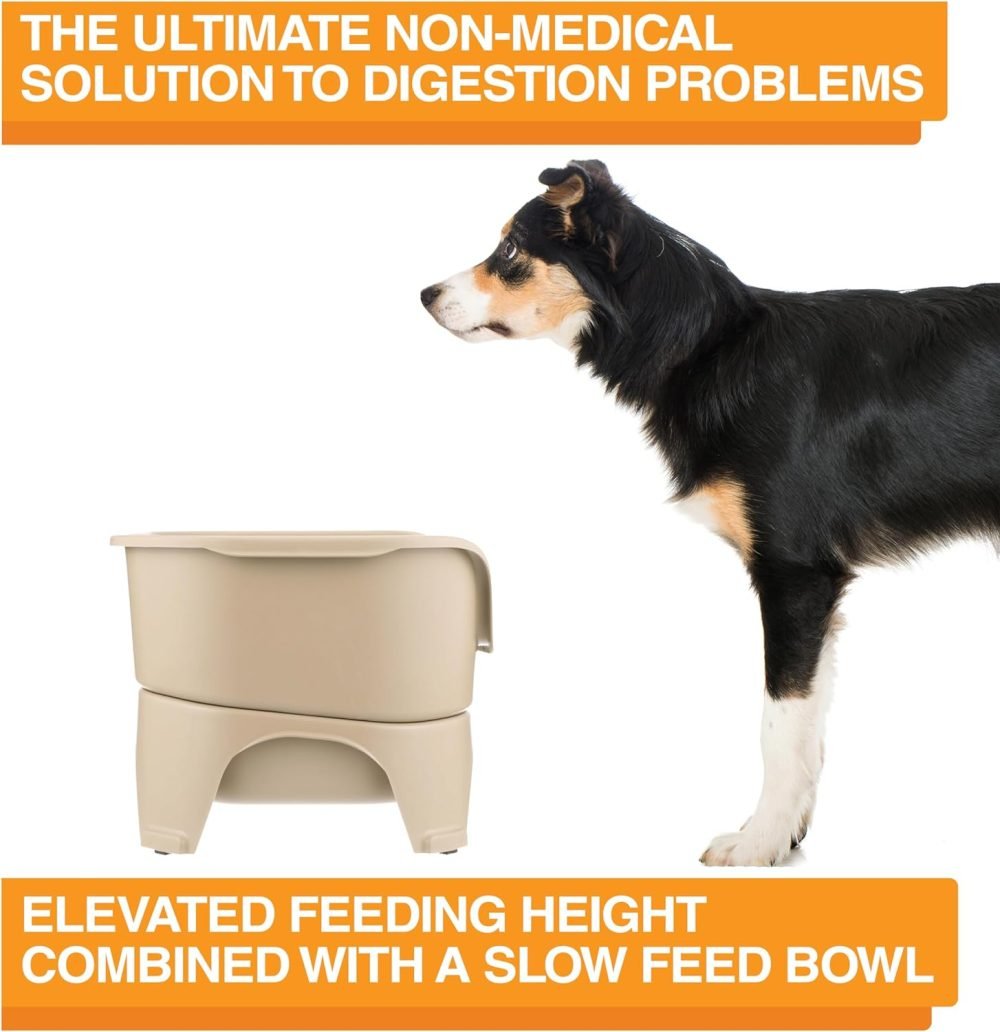 Neater Feeder Express Elevated Dog Bowls