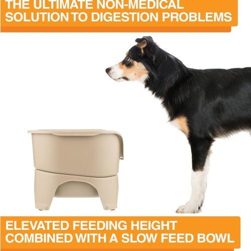 Neater Feeder Express Elevated Dog Bowls