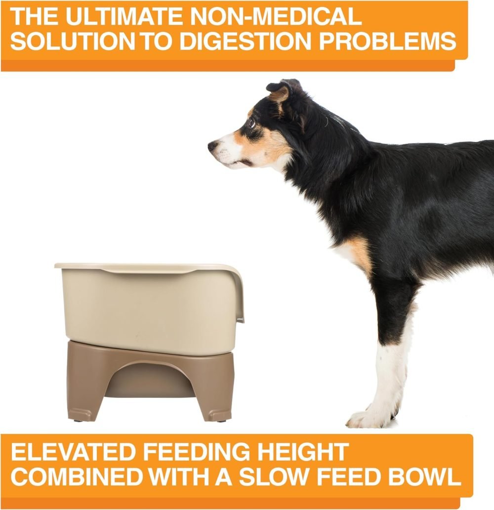 Neater Feeder Express Elevated Dog Bowls