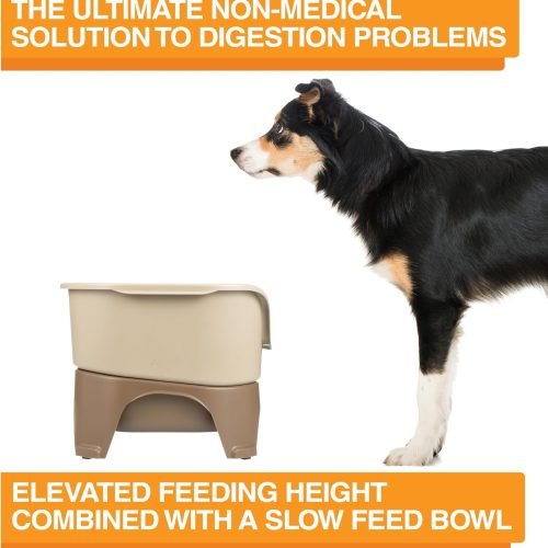 Neater Feeder Express Elevated Dog Bowls