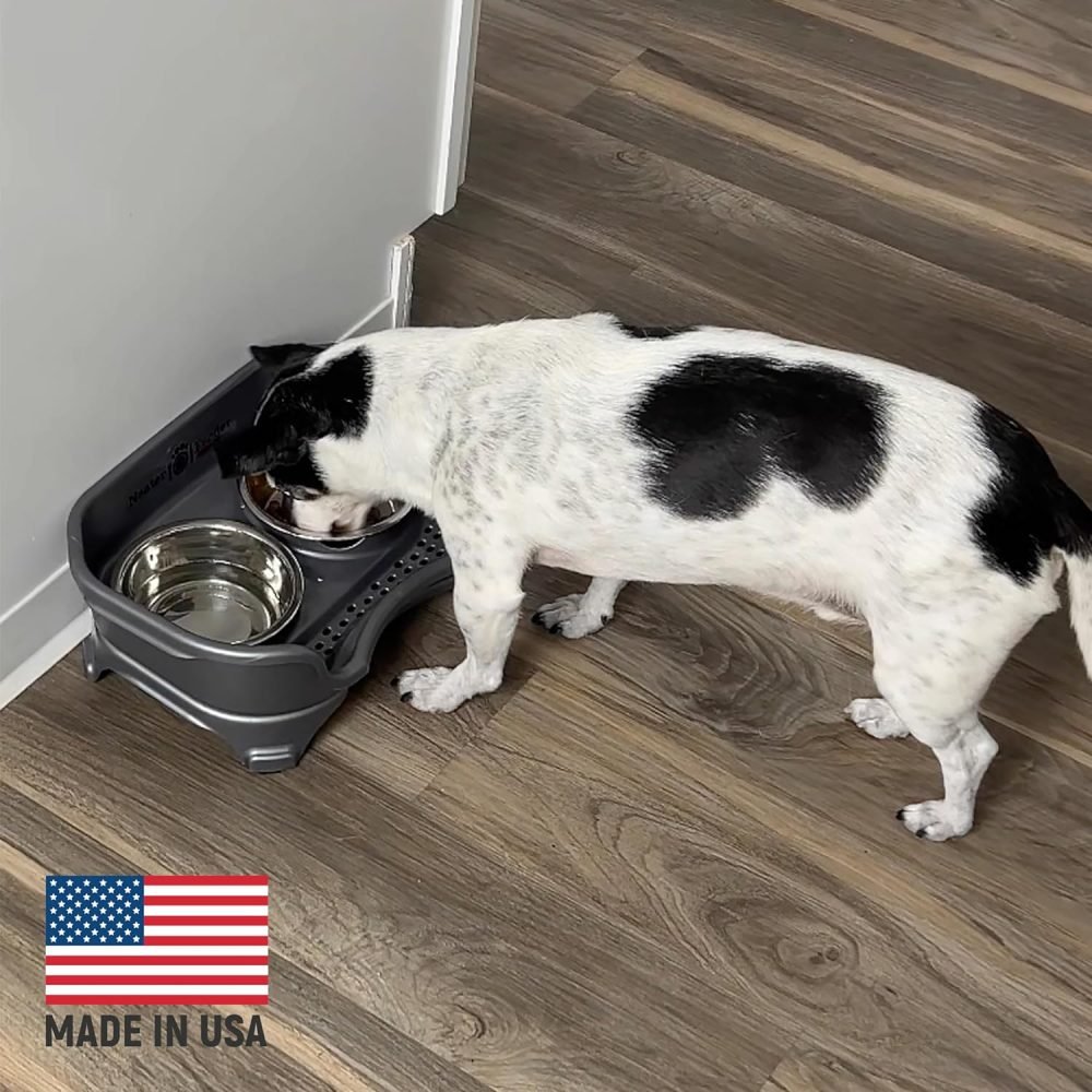 Neater Feeder Express Elevated Dog Bowls