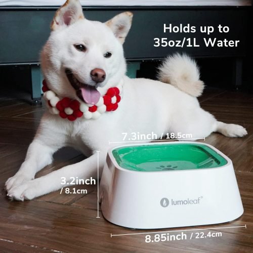 LumoLeaf 135oz No Spill Dog Water Bowl