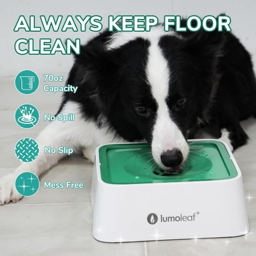 LumoLeaf 135oz No Spill Dog Water Bowl