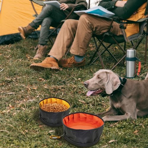 LumoLeaf Collapsible Dog Travel Bowls