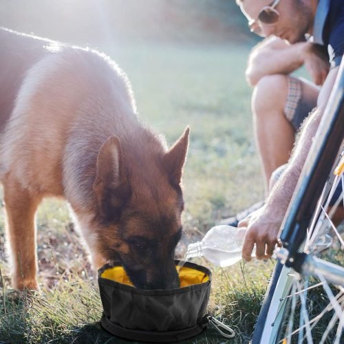 LumoLeaf Collapsible Dog Travel Bowls