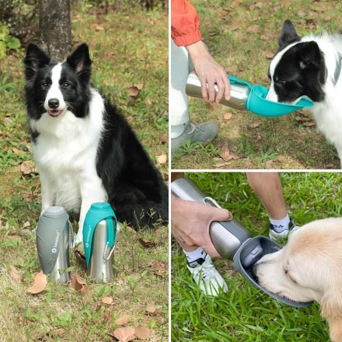 LumoLeaf Portable Dog Water Bottles 800ml, Stainless Steel