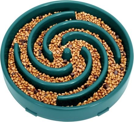 LEACOOLKEY Large Slow Feeder Dog Bowl
