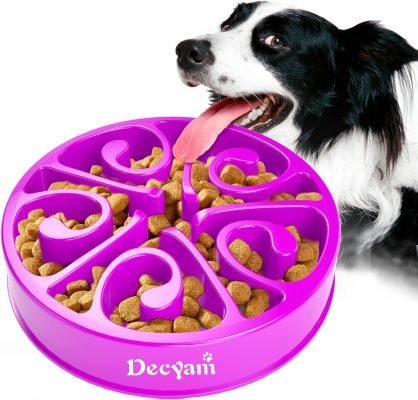 Decyam Slow Feeder Dog Bowl