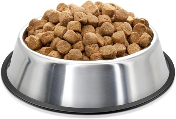 Flexzion Stainless Steel Dog Bowl No Mess Non Spill