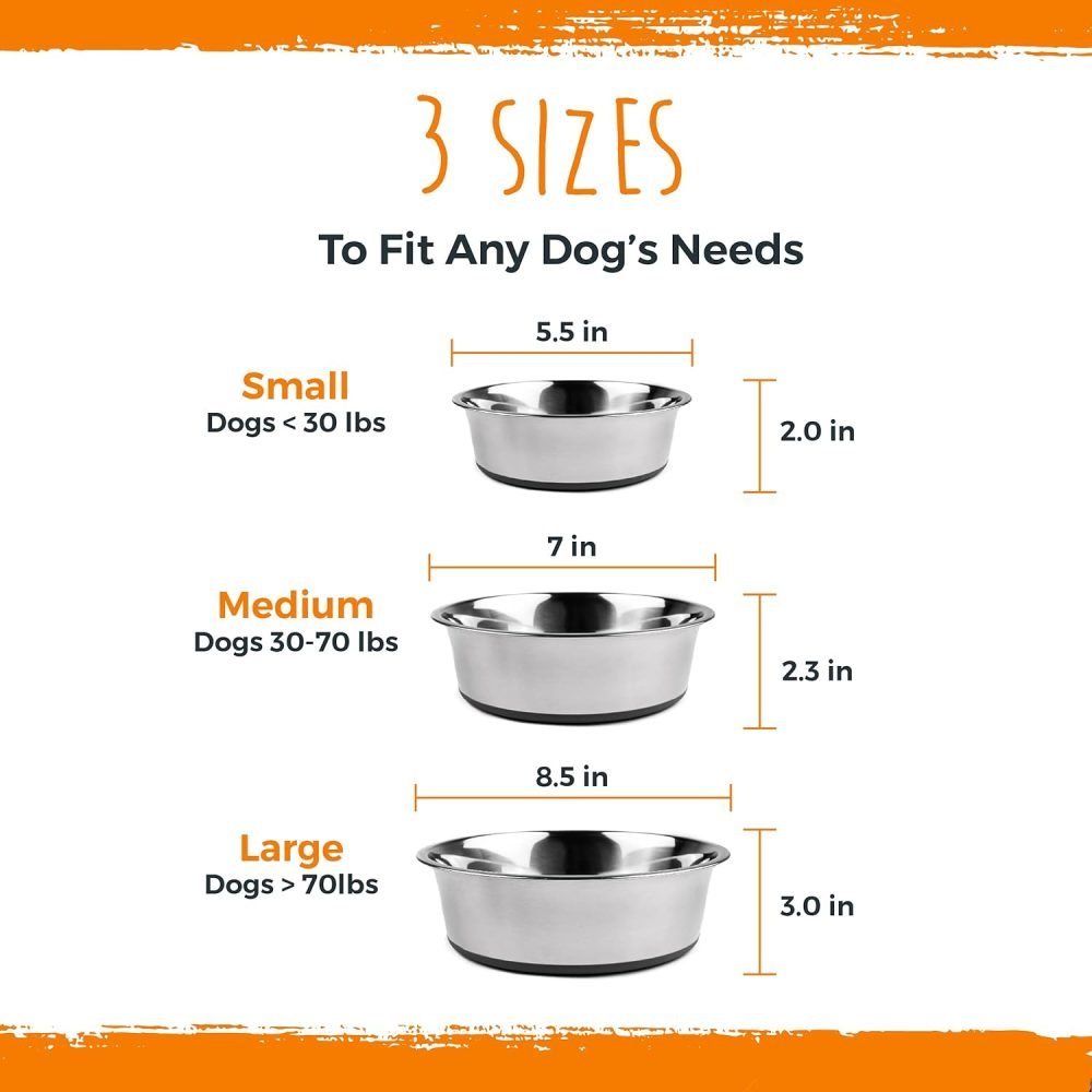 Mighty Paw Stainless Steel Dog Bowls (2 Pack)