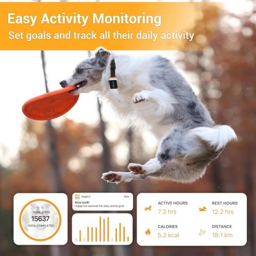 Pawfit 3 GPS Pet Tracker GPS Dog Tracker