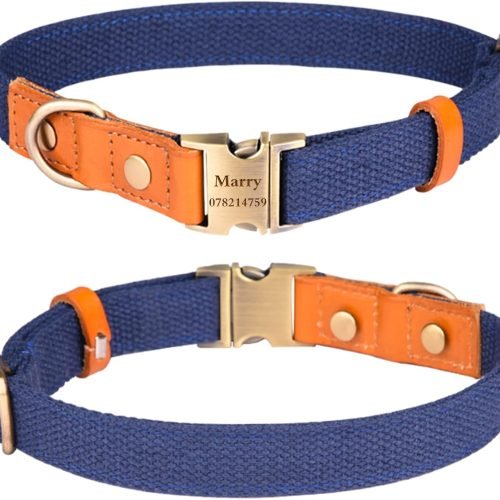 Personalized Dog Collars Canvas with Leather Collar