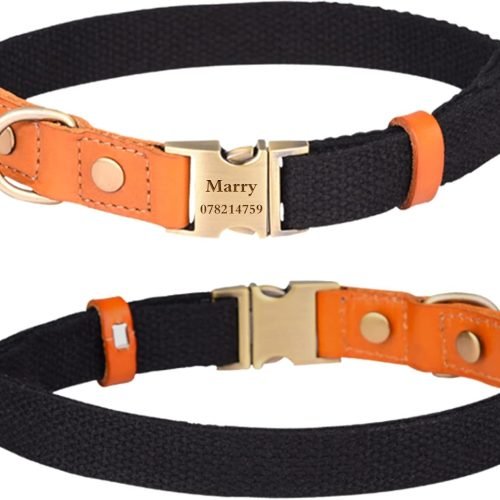 Personalized Dog Collars Canvas with Leather Collar