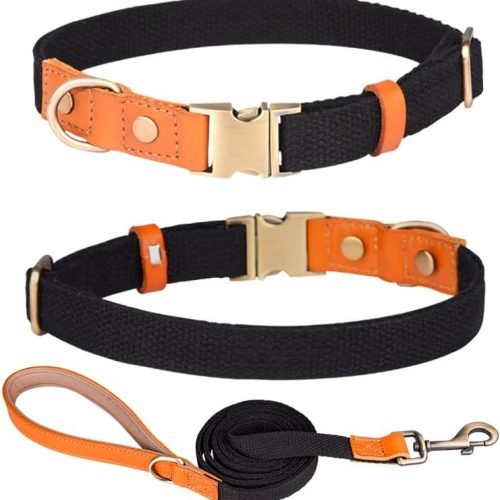 Personalized Dog Collars Canvas with Leather Collar