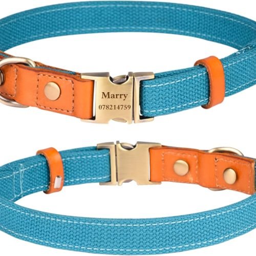 Personalized Dog Collars Canvas with Leather Collar