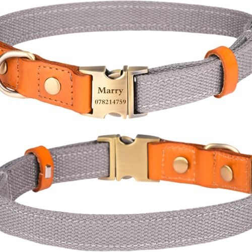 Personalized Dog Collars Canvas with Leather Collar