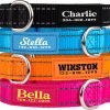 PAWBLEFY Personalized Dog Collars