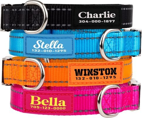 PAWBLEFY Personalized Dog Collars