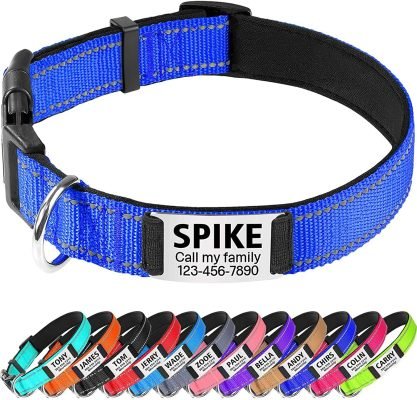 TagME Personalised Dog Collar Reflective Padded Collar