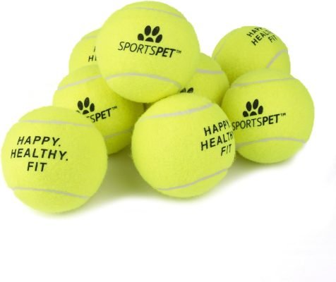 SPORTSPET Tennis Balls for Dogs – Extra Bouncy – Non Toxic