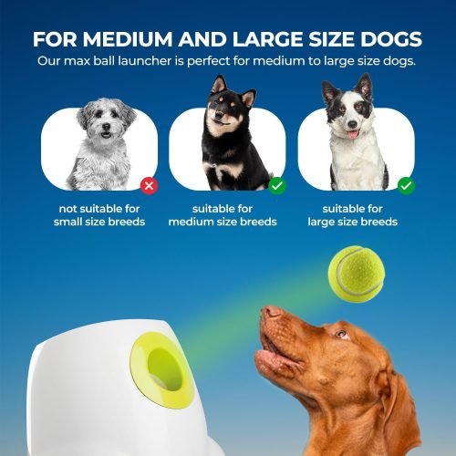 ALL FOR PAWS Automatic Dog Ball Launcher with 3pcs 5 cm Tennis Balls