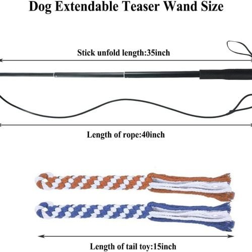 ASOCEA Flirt Pole for Dogs Extendable Teaser Wand