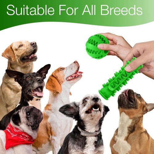 Emporium Pets Dog Dental Chew Toy, Dog Toys, Dog Chew Toys for Puppy, Dog Chew Toys for Aggressive Chewers, Dog Toothbrush Toy, Dog Teething Toys, Dog Chew Toys