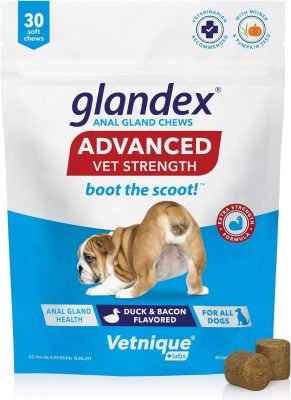 Glandex Anal Gland Soft Chew Treats with Pumpkin for Dogs