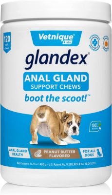 Glandex Fibre Supplements Dog Soft Chews with Pumpkin for Dogs, Digestive Enzyme & Probiotic