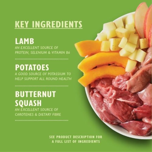 Lily's Kitchen Natural Adult Wet Dog Food Tins Grain-Free Recipe Variety Pack 6 x 400g