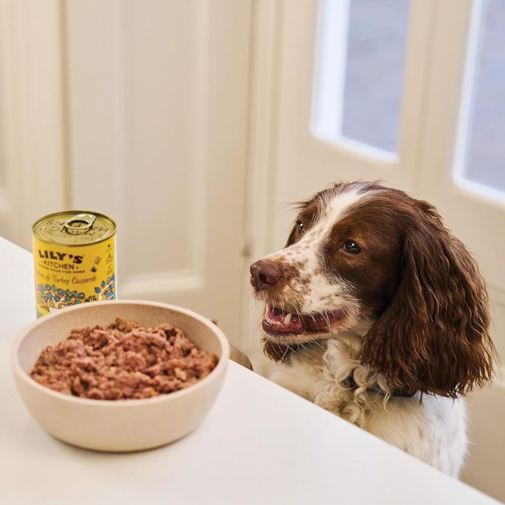 Lily's Kitchen Natural Adult Wet Dog Food Tins Grain-Free Recipe Variety Pack 6 x 400g