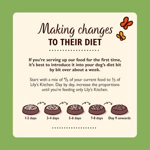 Lily's Kitchen Natural Adult Wet Dog Food Tins Grain-Free Recipe Variety Pack 6 x 400g