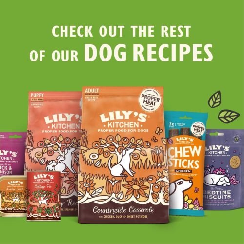 Lily’s Kitchen Made with Natural Ingredients Adult Dry Dog Food Salmon Supper Balanced Nutrition 7kg Bag