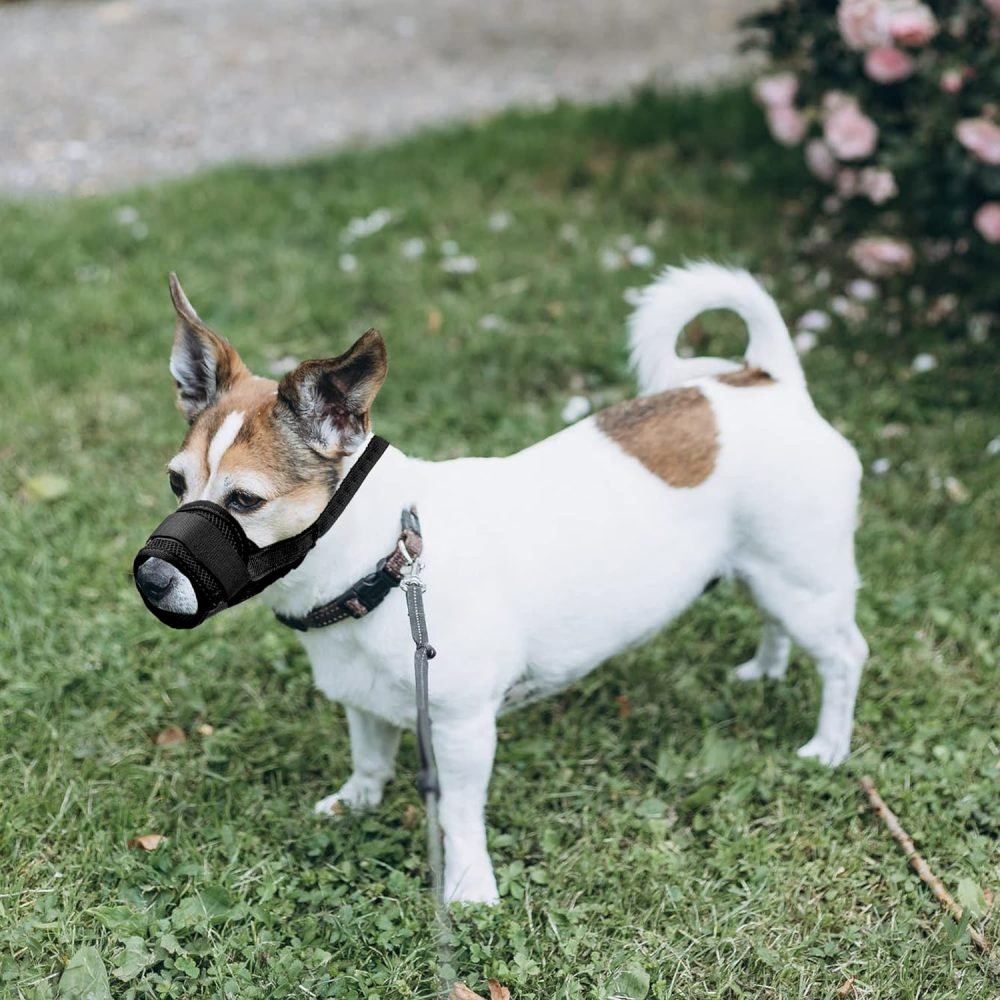 YAODHAOD Nylon Mesh Breathable Dog Mouth Cover, Quick Fit Dog Muzzle with Adjustable Straps