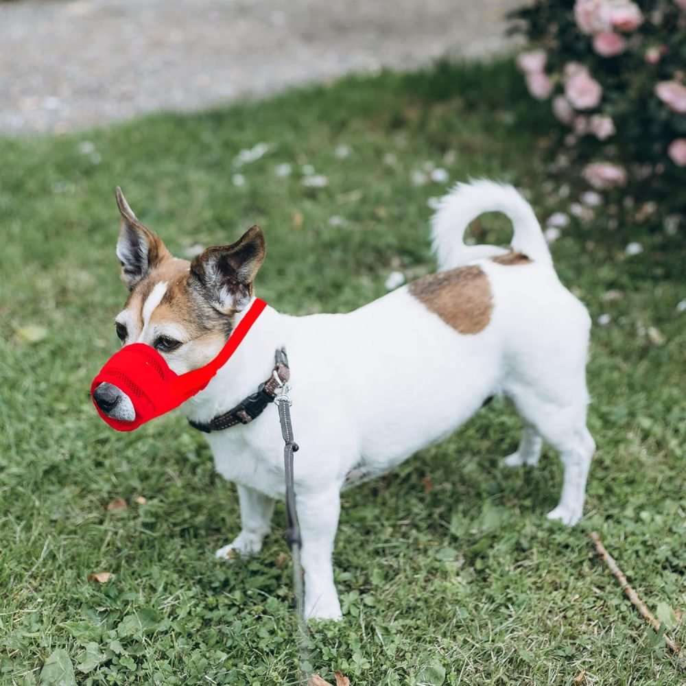 YAODHAOD Nylon Mesh Breathable Dog Mouth Cover, Quick Fit Dog Muzzle with Adjustable Straps