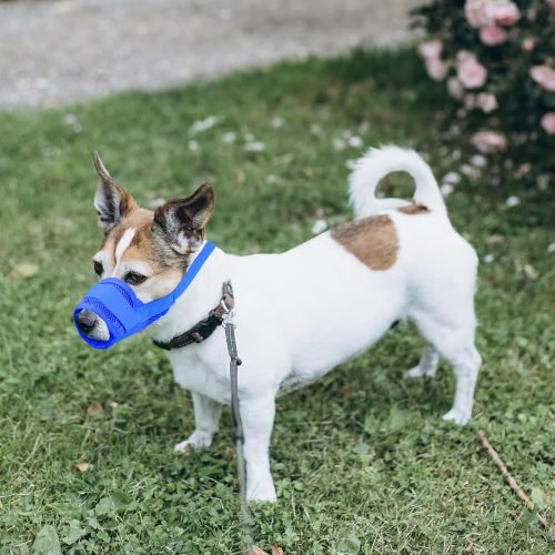 YAODHAOD Nylon Mesh Breathable Dog Mouth Cover, Quick Fit Dog Muzzle with Adjustable Straps