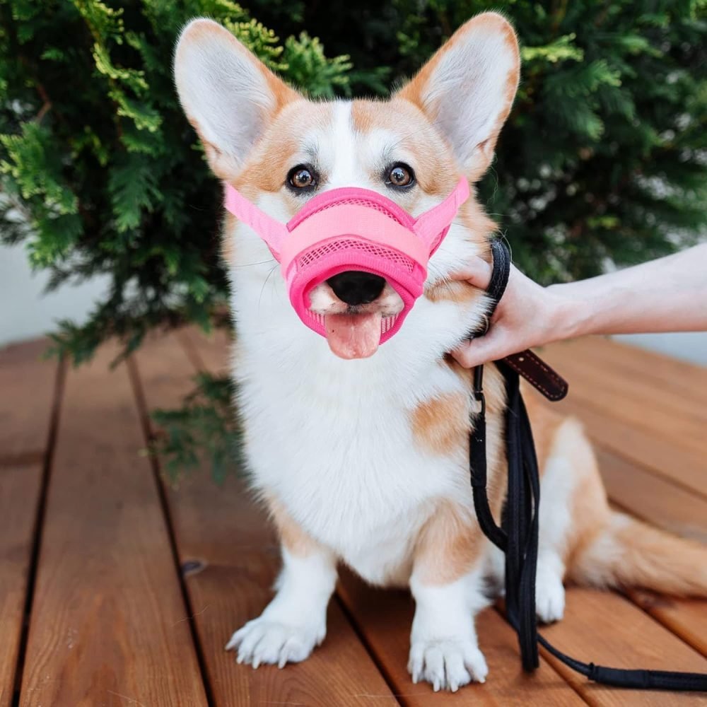 YAODHAOD Nylon Mesh Breathable Dog Mouth Cover, Quick Fit Dog Muzzle with Adjustable Straps